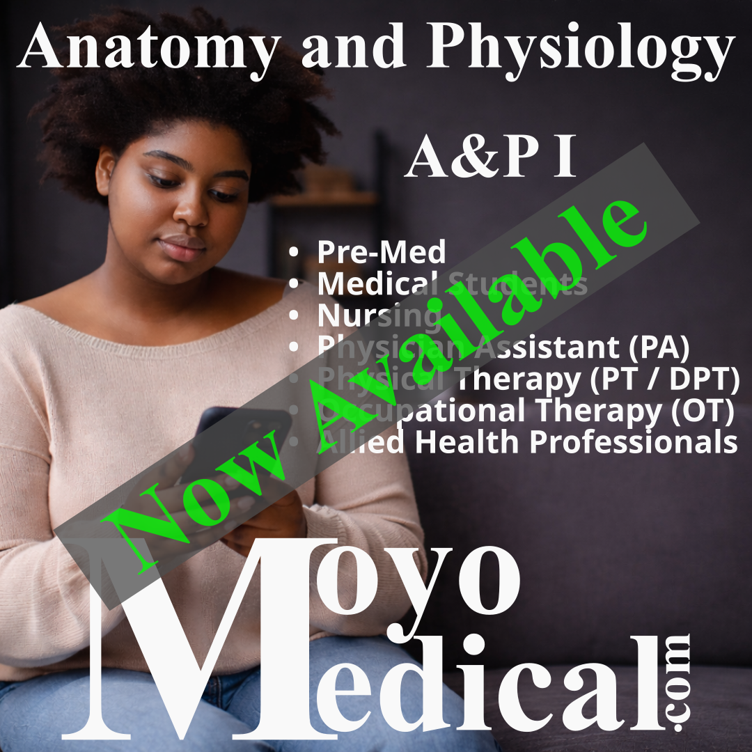 01-Anatomy and Physiology-Study Girl-01-A.png