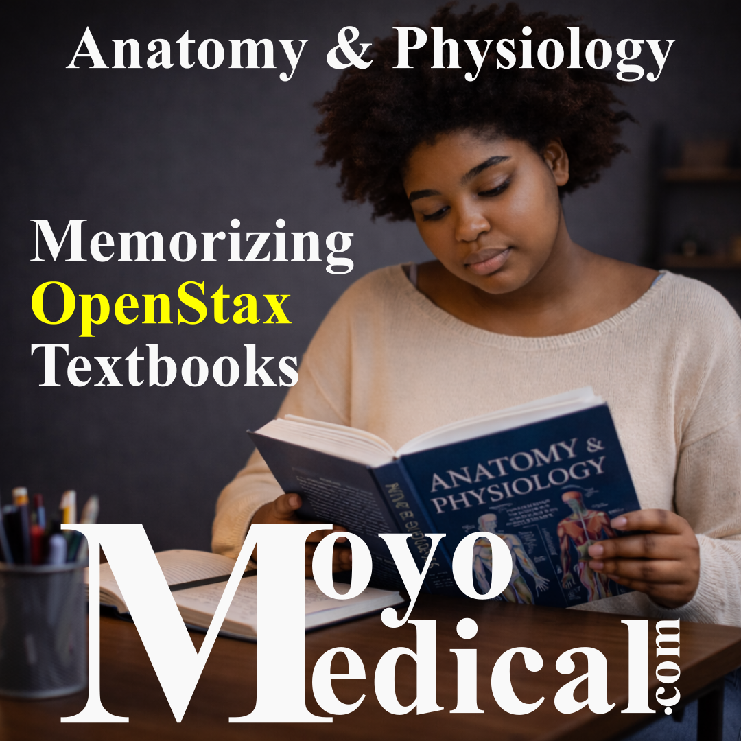 03-OpenStax-Anatomy and Physiology-02.png